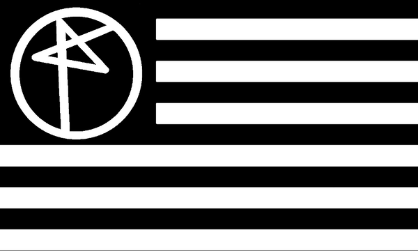 PUNXAMERICA FLAG