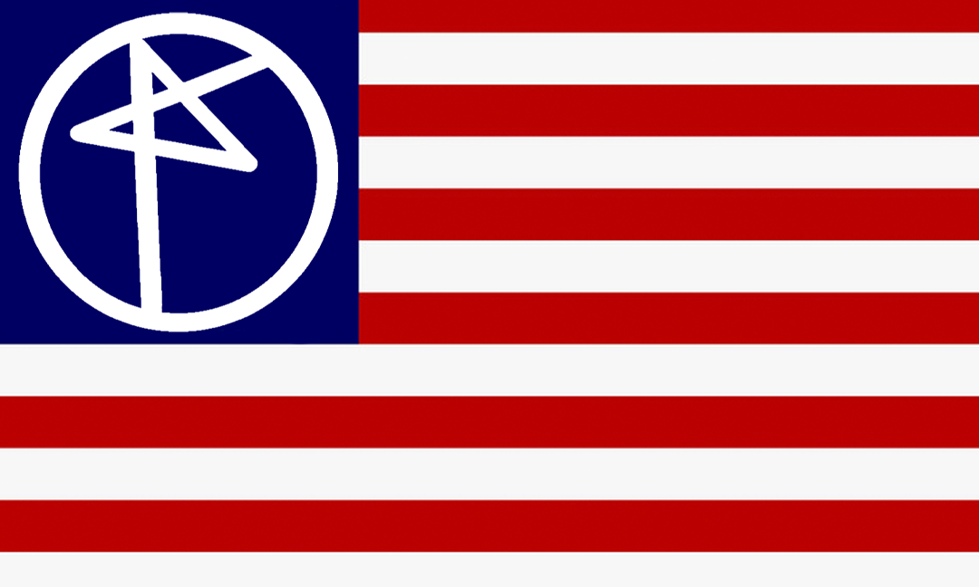 (ONE LEFT) PUNXXXAMERICA FLAG