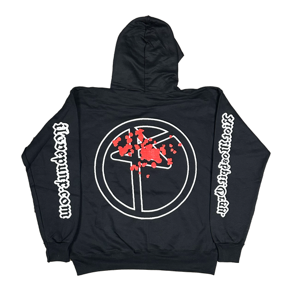 M : HEALTHRISK HOODIE
