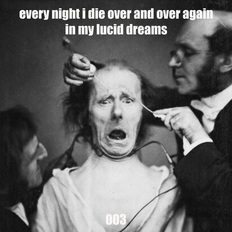 003 Image 2023
